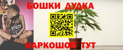 ALPHA-PVP Партизанск