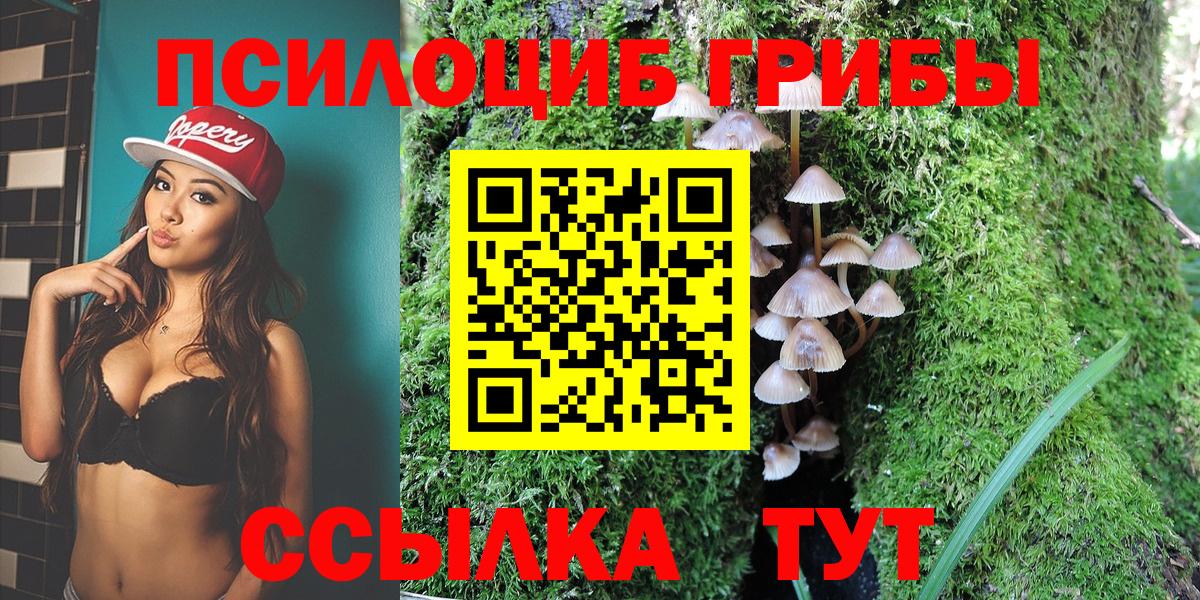 Пугачёв  Псилоцибиновые грибы Magic Shrooms  Вход с VPN  Галлюциногенные грибы Magic Shrooms 