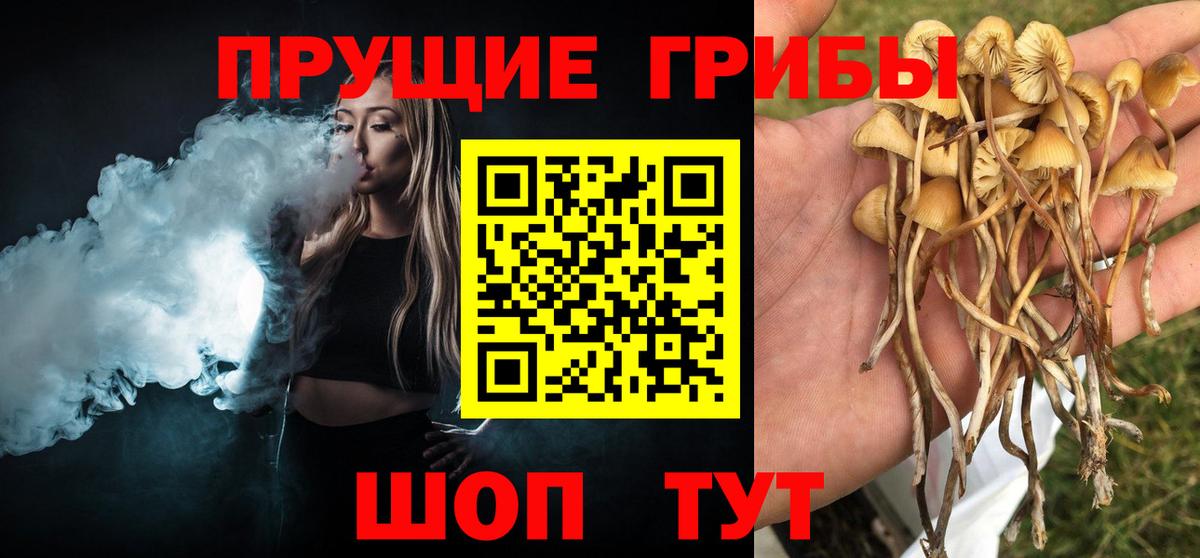 Псилоцибиновые грибы Cubensis Пугачёв